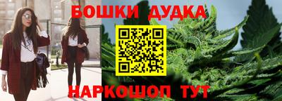 индика Канаш