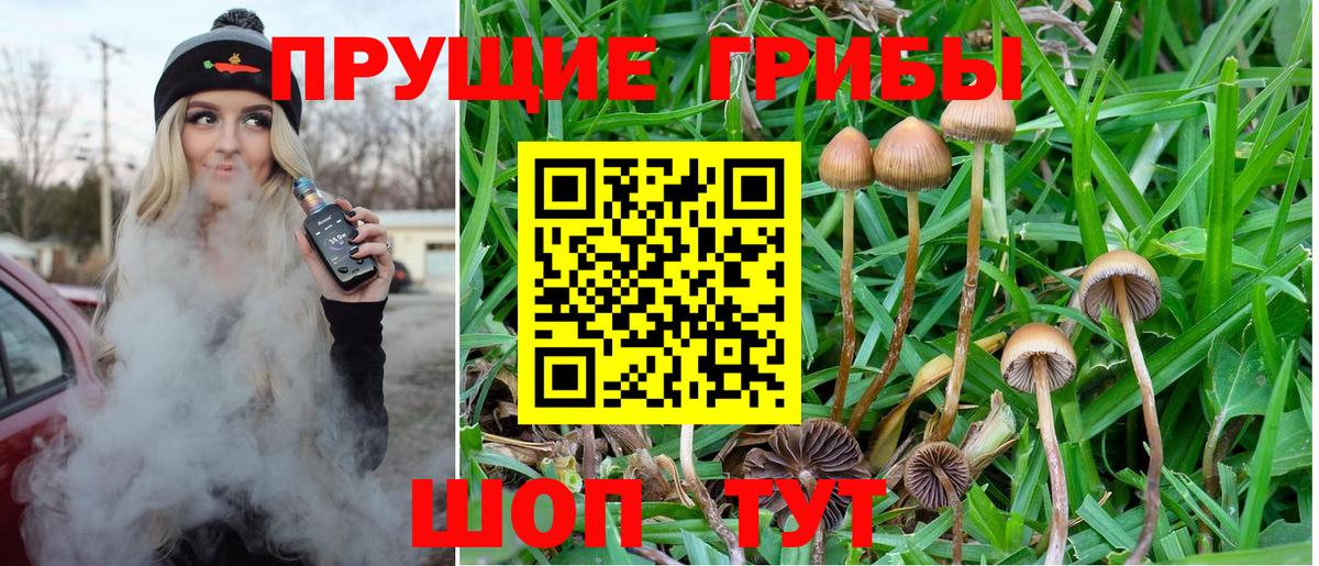 Галлюциногенные грибы GOLDEN TEACHER Калуга