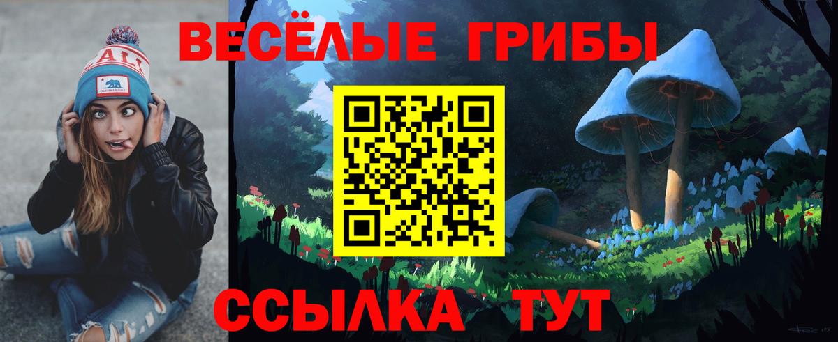 Калуга  Псилоцибиновые грибы Cubensis  Вход с VPN  Галлюциногенные грибы GOLDEN TEACHER 